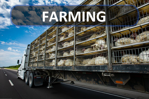Farming